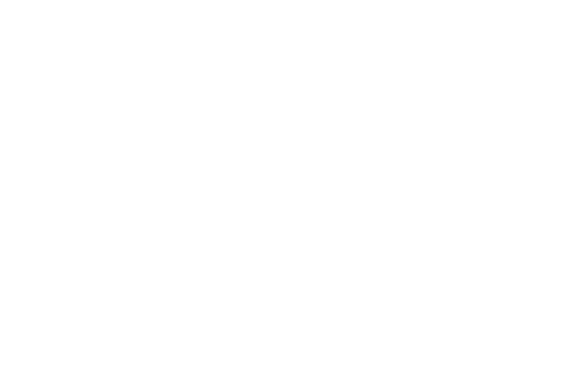 Network 4